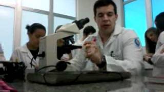 aula de hematologia clínica  Diferenciação de Leucemias Prof Matias Frizzo [upl. by Moffit]