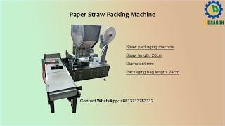 20 cm length Straw Packaging Machine For Indonesia [upl. by Yardley326]