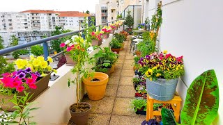 Planting a LOT Of Petunias On My Balcony [upl. by Rubenstein]