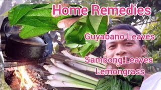 Home Remedies  Tanglad  Guyabano Leaves  Sambong  Herbal Plants  My Natural Med Hypertension [upl. by Mackey848]