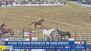 Push To Ban Rodeos In San Diego [upl. by Barina]