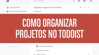 Como organizar projetos no Todoist GTD™ [upl. by Sarid553]