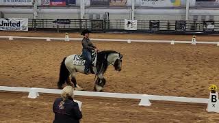 Dakota Spirit Ori Western Dressage Basic Test Level 1 GVHS National Championships 2022 [upl. by Yemerej]