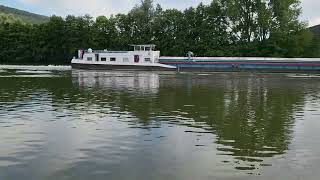 Binnenschiff Roda in Langenprozelten zu Tal [upl. by Eirased]