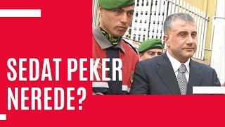 sedat peker Nerede  sedatpeker ahmetkurkcu dubai abudhabi [upl. by Oiuqise]