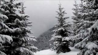 Gollet de Doucy  Col de Bornette  28 janvier 2012 [upl. by Skinner]