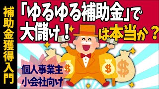 【ゆるゆる補助金で大儲け！は本当か】個人事業主･小会社向け補助金･助成金で成功する人､失敗する人【入門事業計画･申請書書き方商工会議所持続化補助金中小企業診断士ほらっちchコラボ2023】 [upl. by Lednahs]