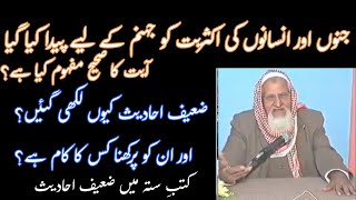 Jahannum Ke Liye Paidaish  6 Hadith Books  Molana Ishaq [upl. by Esnofla]