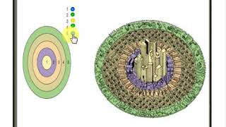 Concentric Zone Theory [upl. by Judy752]