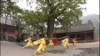 Kung Fu  Die Kampfkunst der Shaolin [upl. by Tifanie]