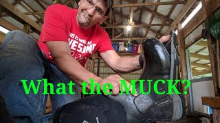 Are MUCK BOOTS worth the   2018 [upl. by Issac]