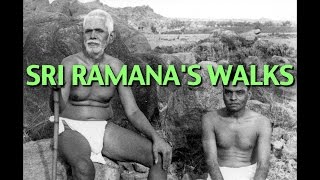 Talks on Sri Ramana Maharshi Narrated by David Godman  Sri Ramanas Walks [upl. by Harikahs]