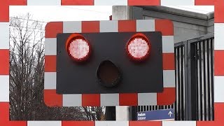 Railway Crossing at Lansdowne Road in County Dublin Ireland [upl. by Filmer]