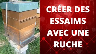 apiculture CRÉER DES ESSAIMS AVEC UNE RUCHE [upl. by Notanhoj]