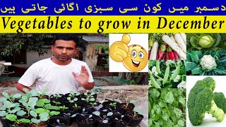 vegetables to Grow in December  December mei lagne Wali Sabziya [upl. by Brynna300]