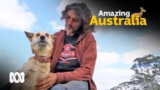 Farmer controls wild dingos with his own pack 🐶  ABC Australia [upl. by Leviram]