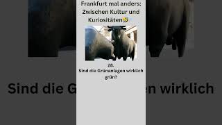 😂 Frankfurt Lachflash 30 Lustige Fragen und Antworten 🌆 [upl. by Garlanda]