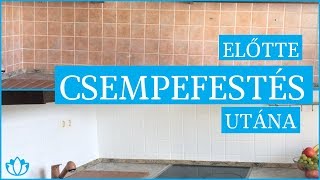 CSEMPEFESTÉS kezdőknek  a konyha [upl. by Reimer949]