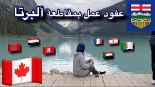 إذا كنت تبحث عن عقد عمل🤔بمقاطعة ألبرتا الكندية🇨🇦 بواسطة الأستاذ أنس… [upl. by Jervis]