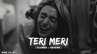 Teri Meri Prem Kahani slowedreverb  MGM LOFI [upl. by Attinahs399]