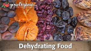 How to Dehydrate and Preserve Organic Fruit [upl. by Tound407]