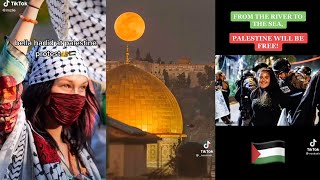 FREE PALESTINE  Free Palestine protest  Tiktok compilation [upl. by Poppo]