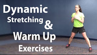 Workout Stretching and Easy Warm Up Exercises  Static and Dynamic Stretching [upl. by Linet909]