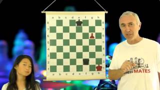 What is a Stalemate  Chess for Beginners [upl. by Ssirk786]