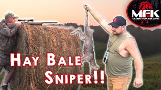 Sniping Coyotes Off Of Hay Bales MFK Coyote Hunting [upl. by Niliram]