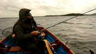 Lough Sheelin monster trout [upl. by Ardnaiek]