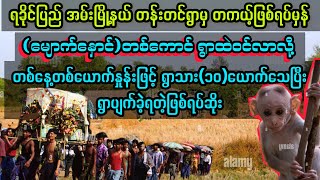 ရခိုင်ပြည် အမ်းမြို့နယ် တန်းတင်ရွာမှ တကယ့်ဖြစ်ရပ်မှန် audiobook myanmaraudiobook [upl. by Annitsirhc913]