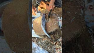 Amazing Great Delicious Rare Ayer Fish Cutting Techniques  Fish Cutting Skills 😱 shorts [upl. by Nitnelav672]