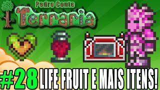 Terraria 28  PC  MAIS ITENS Life Fruit  Heart Lantern  Adamantite Ore [upl. by Hannasus]