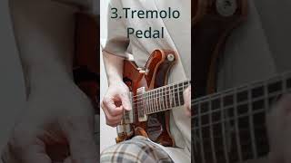 Which tremolo sound do you like [upl. by Rebmaed520]