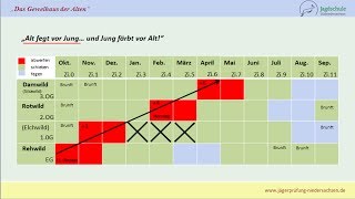 Jägerprüfung Niedersachsen Das Geweihaus der Alten [upl. by Berthe]