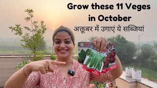 Grow these 11 Vegetables in October  अक्टूबर में ये सब्ज़ियाँ लगाएँ vegetablegarden [upl. by Laerdna]