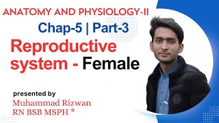 Reproductive system Female   Part3  Anatomy and Physiology2 BSN KMU  MCQS pattern [upl. by Cordie]