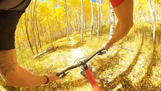 Crested Butte entering the Yellow brick road mtb crestedbutte [upl. by Neelrad]