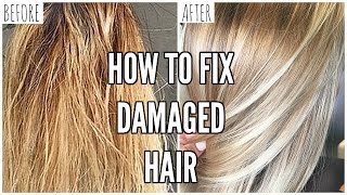 How To Fix EXTREMELY Damaged Hair At Home [upl. by Hofmann]