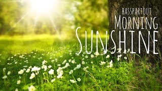 Happy Instrumental Background Music for Video  Morning Sunshine [upl. by Wager292]