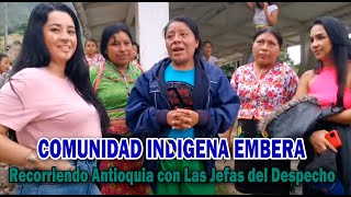 Recorriendo Antioquia Dabeiba  Comunidad indígena Embera con Las Jefas del Despecho [upl. by Idaline876]