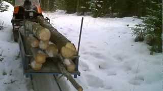 Ski Doo Alpine II in forest work [upl. by Valente]