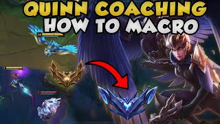 QUINN COACHING And Teaching YOU How To MACRO Effectively As Quinn Top [upl. by Tess]