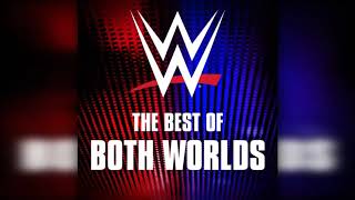 WWE The Best of Both Worlds WWE Network AE Arena Effect [upl. by Htedirem746]