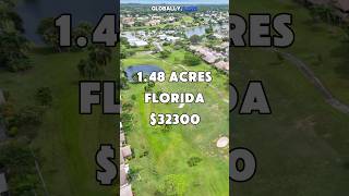 148 Acres with road access for Sale in Georgetown Florida for 32300 Taxes are 375 a year [upl. by Naval588]