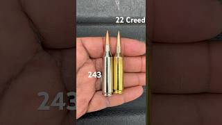 22 Creedmoor Crushes 243 Winchester hunting shorts 2a [upl. by Annij]