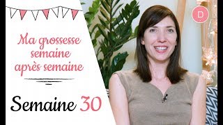 30ème semaine de grossesse – La 3ème échographie [upl. by Ehsrop251]