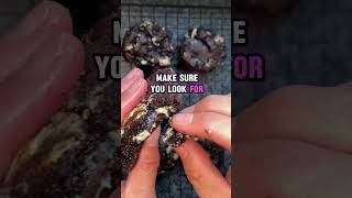 The BEST Double Chocolate Chip Cookie Recipe You’ll Ever Try – Don’t Miss This [upl. by Atteiram]