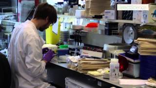 Extracellular Matrices Innovative Cancer Research at Beatson Institute [upl. by Rambort]