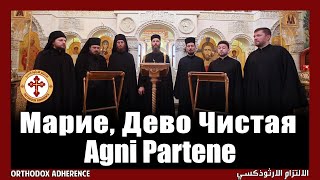 Russian Byzantine Orthodox Agni Parthene Αγνή Παρθένε  Марие Дево Чистая English Subtitles [upl. by Mercuri]